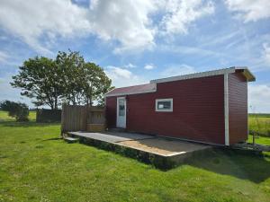 a small red building with a door in a field at Tiny House Boomhacker in Westerdeichstrich