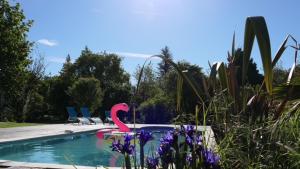 a pink flamingo is sitting in a swimming pool at Le Moulin du Clapier - La Ficelle in Sorges