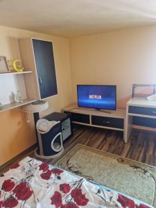 a living room with a tv and a bed at Casa LarisaAndrei in Bîrsău