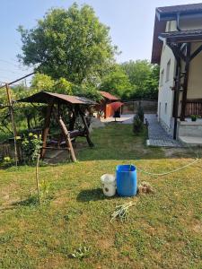 a yard with a picnic table and a blue bucket at Casa LarisaAndrei in Bîrsău