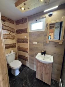 a bathroom with a toilet and a sink at Ranczo Rico in Baryczka