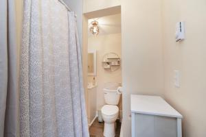a bathroom with a toilet and a shower curtain at Chic Groton Studio • A Cozy, Modern & Central Gem in Groton +16 photos
