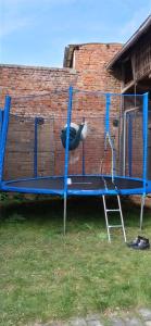 a blue trampolineituresternessternessternessstrationstrationstrationstrationstrationstrationstration at Ferienhaus Herztor in Bad Bibra