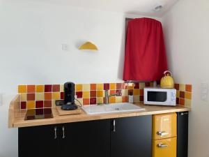 a kitchen with a counter with a microwave on it at La maisonnette du Chambon in Monistrol-sur-Loire