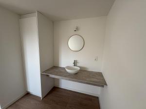 a bathroom with a sink and a mirror on a counter at De Boomgaard in Nieuwerkerken +18 photos