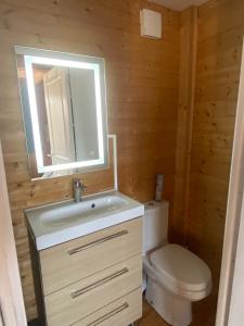 a bathroom with a sink and a toilet at Chalet de Bazas in Bazas +10 photos