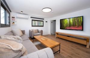 a living room with a couch and a tv on a wall at לב המעיין- סוויטה מושלמת עם ג'קוזי במושב פסטורלי in Reẖov +7 photos
