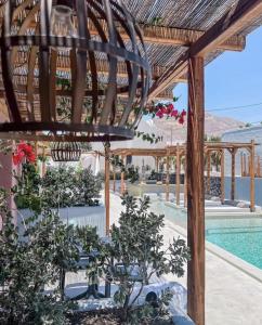 a view of a pool and a pergola with plants at Terra Nera Suites in Perivolos
