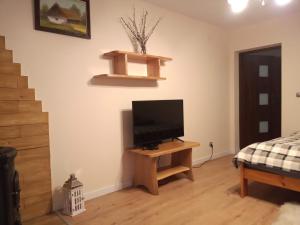 a living room with a television on a table at Dom na Krzemienicy in Izdebki
