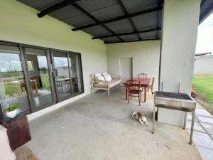 a dog laying on the patio of a house at Pecan Tree Haven in Winterton