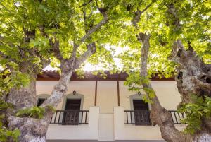 a building with trees in front of it at Lagos House Α in Kámpos