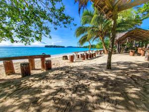 a sandy beach with trees and the ocean at Port Olry BBQ Table and Camping Side in Port-Olry