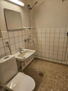 a bathroom with a toilet and a sink at Rivitaloyksiö Vilppulassa in Vilppula