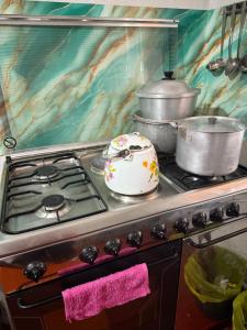 a stove with pots and pans on top of it at Baburs guest house in Orgochor