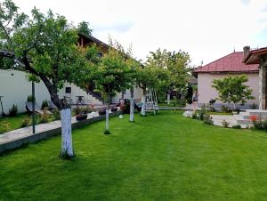 a green yard with trees and a house at Agropensiunea DAVID SI MARIA in Niculiţel