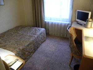 TV a/nebo společenská místnost v ubytování Hotel New Green Okachimachi