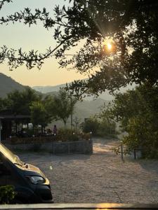 a view of the sun shining through a tree at Camping Koman in Koman +10 photos