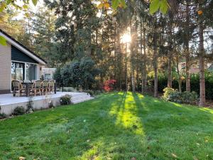 a backyard with a lawn with chairs and trees at Villa Veluwe in Putten