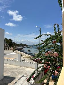 a view of a body of water with a tree at Shela Bahari in Shela +33 photos