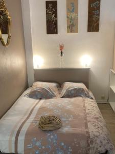 a bed in a bedroom with two pillows on it at Albi-Suite in Albi