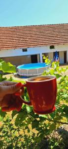 a person holding a red coffee cup in a yard at Seosko domaćinstvo Rada in Papratište