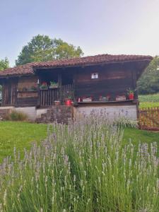 a house in a field with flowers in front of it at Seosko domaćinstvo Rada in Papratište