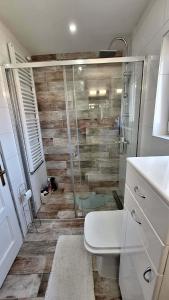 a bathroom with a shower with a toilet and a sink at Seosko domaćinstvo Rada in Papratište