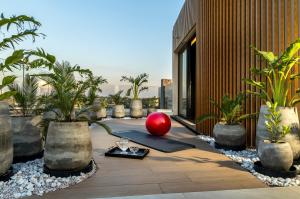 an outdoor area with potted plants and a red apple at WELL Residences - By AVA Rentals in Asunción