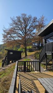 a wooden deck next to a building with a tree at Nomad Hill Cabins in Rugineşti