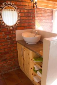uma casa de banho com um lavatório e um espelho em De Ark Mountain Lodge em Clarens