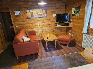 a living room with a couch and a table and a tv at Blockhaus Bayerischer Wald Chalet 2 in Stamsried