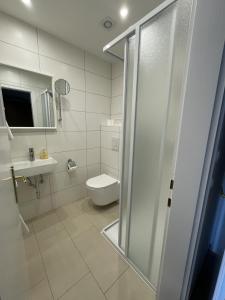 a bathroom with a shower and a toilet and a sink at Naglhof in Gottsdorf