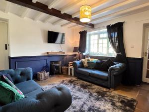 a living room with two couches and a fireplace at 2 Bed in Harmby Nr Leyburn oc-g0136 in Hornby
