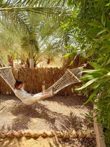 a woman laying in a hammock in a palm tree at The Green Mirage free pickup in Siwa