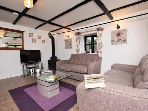 a living room with two couches and a tv at 2 Bed in Bridgwater oc-alden in Kilve