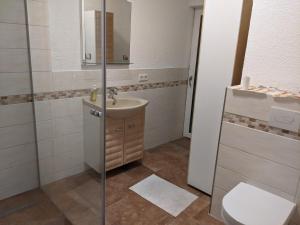 a bathroom with a sink and a shower and a toilet at Wohnung Burgstraße in Wittenberge