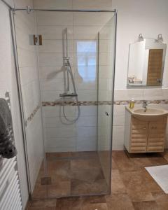 a bathroom with a glass shower and a sink at Wohnung Burgstraße in Wittenberge