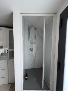 a shower in a bathroom with a glass door at Gere house in Lezzeno +23 photos