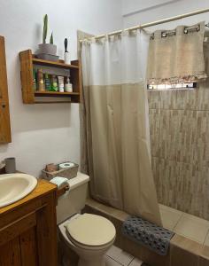 a bathroom with a toilet and a shower at City Garden 2 Apartment in Belize City +36 photos