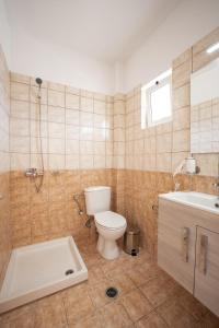 a bathroom with a toilet and a shower and a sink at Aggire Summer Suites in Alikanas