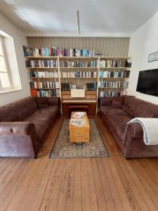 a living room with couches and bookshelves at Renard et l'abeille in Chalmoux