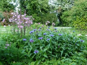 a garden with purple flowers in a field at 1 Bed in Taunton oc-49569 in North Curry +5 photos