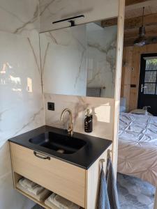 a bathroom with a sink and a bed at Onder de Oude Walnoot in Sint Pancras