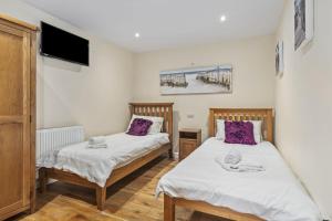 a bedroom with two beds and a flat screen tv at Ffynnonlwyd Cottage - rural holiday cottage with hot tub in Llangynin