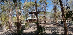 a tree house in the middle of trees at Cristy's Relaxing Sunny Place in Rimus +26 photos