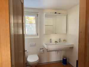 a bathroom with a sink and a toilet at Revier Schwettiberg Nr. 1 in Braunwald +15 photos