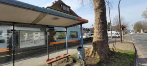 a bus stop with benches next to a tree at OneRoomStay in Delmenhorst +3 photos