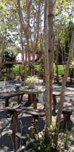 a picnic table in the middle of a park with trees at Cristy's Relaxing Sunny Place in Rimus