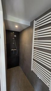 a bathroom with a shower with a window at Zeeuws Wagenhuys in Biggekerke