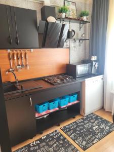 a kitchen with a sink and a stove at Narva Apartments in Narva
